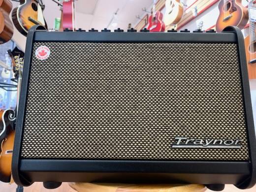 Store Special Product - Traynor - AMMINI